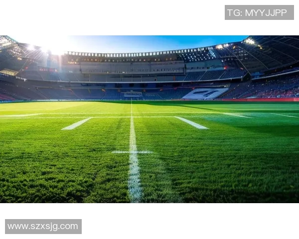 足球明星索默精彩瞬间照片集锦展现他在绿茵场上的风采与魅力